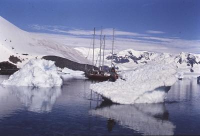Aventuras de Igor na Antártida