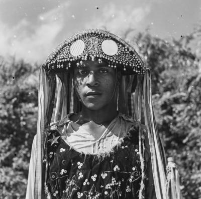 Bumba meu boi, festa popular