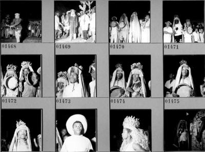 Bumba meu boi, festa popular