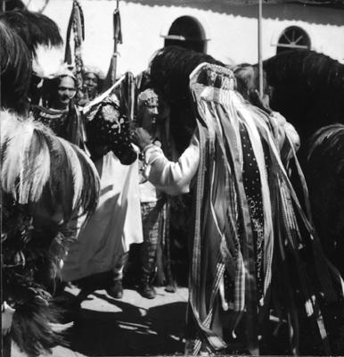 Bumba meu boi, festa popular