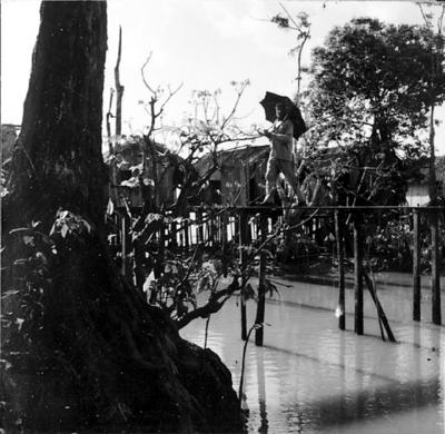 Vila da Barca, palafitas flutuantes