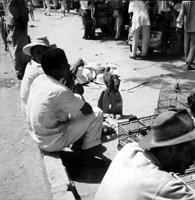 Feira dos Passarinhos