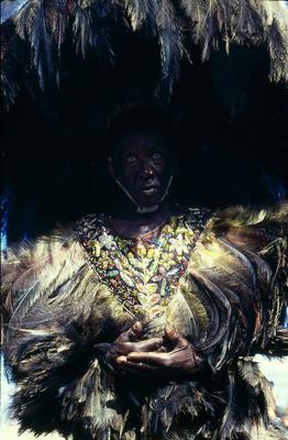 Série Bumba-meu-boi - Festa de São João