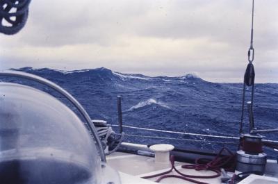 Aventuras de Igor na Antártida