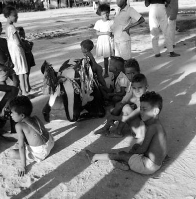 Bumba Meu Boi, festa popular