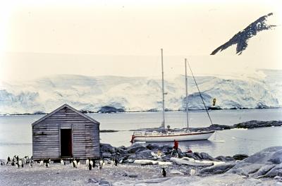 Aventuras de Igor na Antártida
