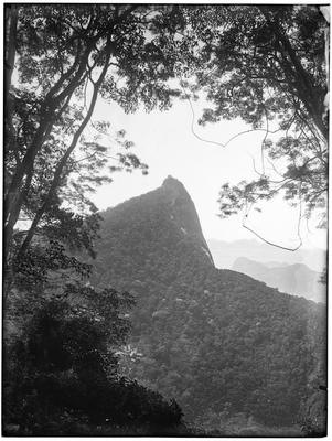 Morro do Corcovado tomado da Floresta da Tijuca