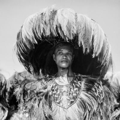 Bumba meu boi, festa popular