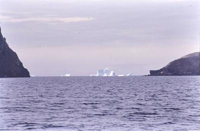 Aventuras de Igor na Antártida