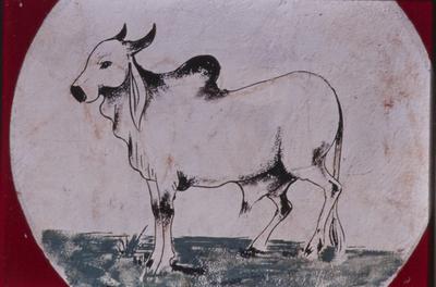 Flagrante de rua - placas, letreiros e cartazes