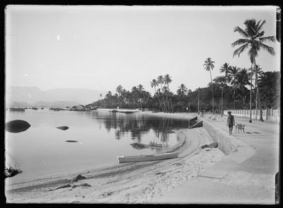 Vista da praia do Coqueiros e da praia Pintor Castagneto