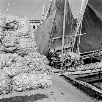 Homens descarregando juta