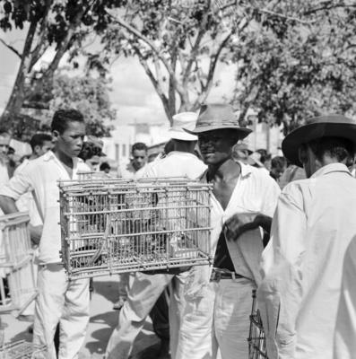 Feira dos Passarinhos