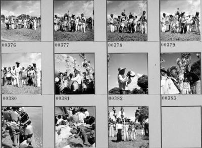 Bumba meu boi, festa popular