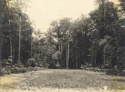 Interior da Praça Batista Campos