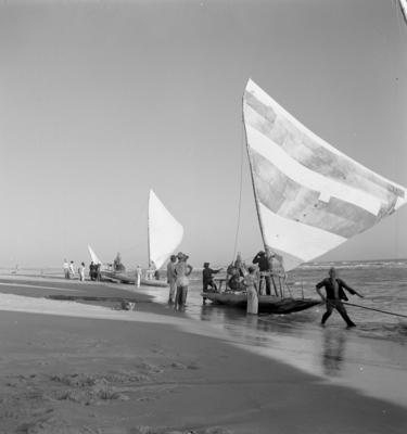 Jangadas e jangadeiros