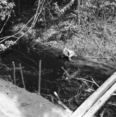 Expedição do SPI que estabeleceu os primeiros contatos com o povo Asuriní do Tocantins