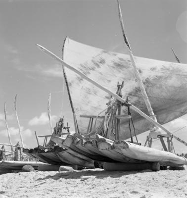 Jangadas e jangadeiros