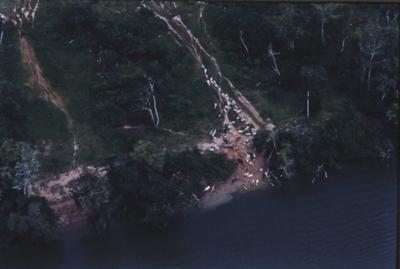 Vista aérea de rebanho de gado