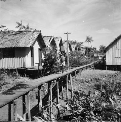 Vila da Barca, palafitas flutuantes