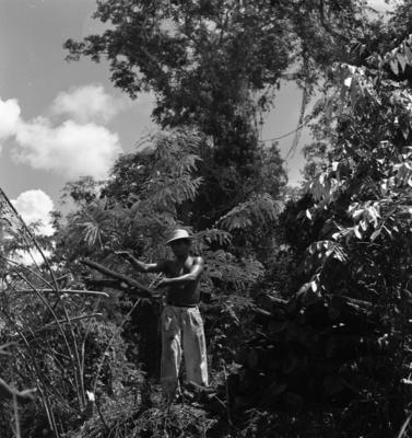 Série "Estrada de Ferro Tocantins"