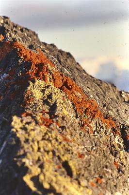 Aventuras de Igor na Antártida