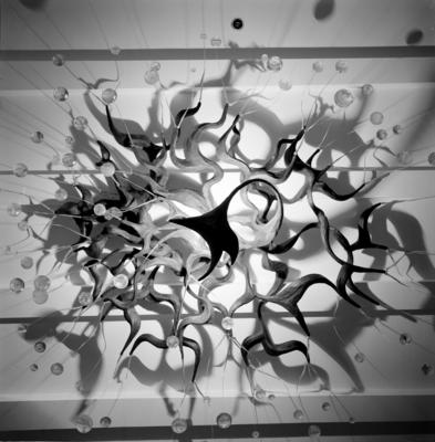 "Revoada dos pássaros", lustre de Pedro Correia de Araújo, na Sala D. Pedro I