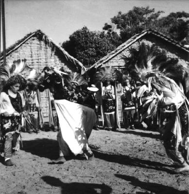 Bumba meu boi, festa popular