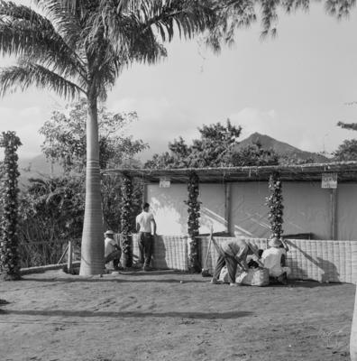 Preparativos para festa junina no Sítio Burle Marx