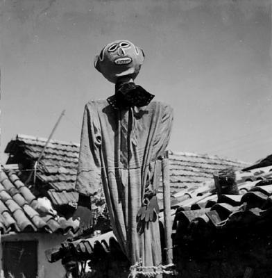 Bumba Meu Boi, festa popular