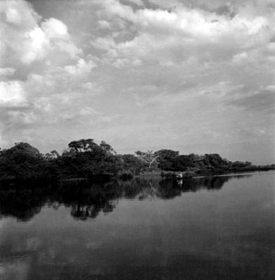 Rio Amazonas