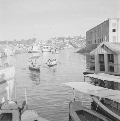 Palafitas flutuantes