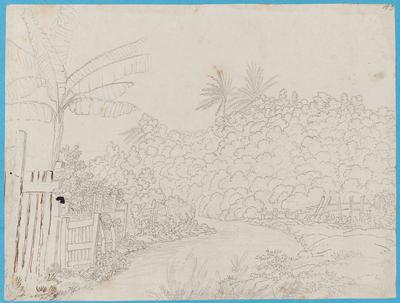 [Estrada com cerca dos dois lados]