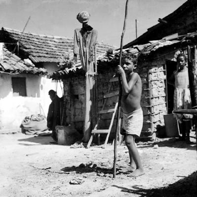 Bumba Meu Boi, festa popular