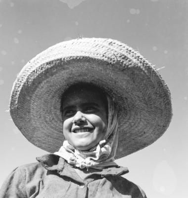 Lavoura canavieira, trabalhadores