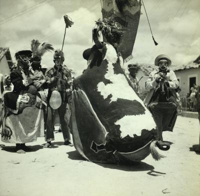 Bumba Meu Boi, festa popular