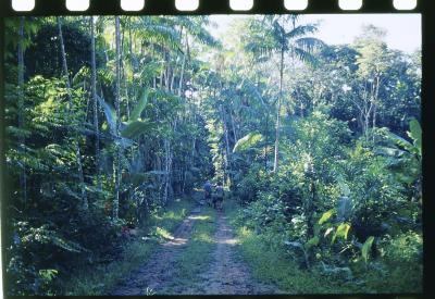 Projeto "Navegar Amazônia"