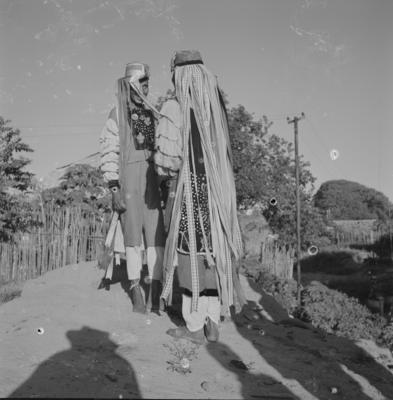 Bumba meu boi, festa popular