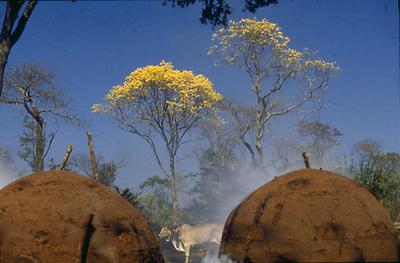 Série Rio São Francisco