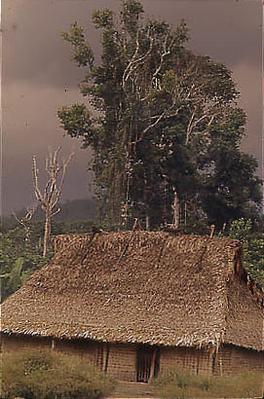 Série Xingu - Maloca xinguana