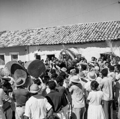 Bumba meu boi, festa popular