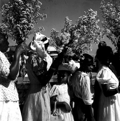 Festa de Iemanjá em Rio Vermelho