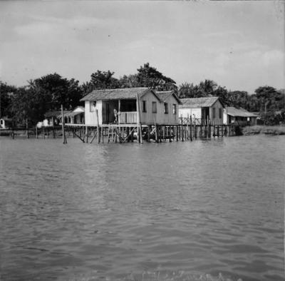 Rio Guamá, palafitas flutuantes