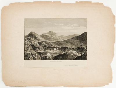 (Plantação de café)