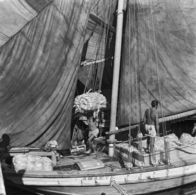 Homens descarregando juta