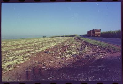 Produção de filme institucional sobre usinas de açúcar