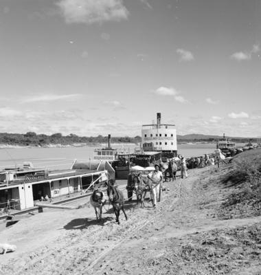 Trabalhadores descarregando barco