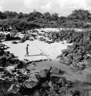 Série "Estrada de Ferro Tocantins"
