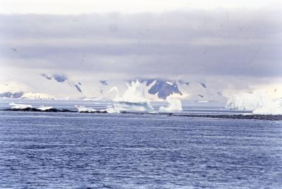 Iceberg em forma de cisne