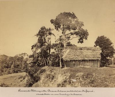 Habitação de indígenas do povo Amauá no Rio Japurá